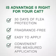 Advantage II Flea Prevention and Treatment for Kittens (2-5 Pounds), 2 pack