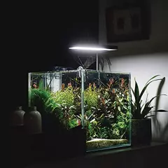 Allcolor Ultra Clear Rimless Aquarium Tank 2-22 gallons Low Iron Glass