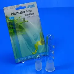 Aquarium Supplies ISTA Clear Glass Planaria Trap for Cherry Shrimp Crystal red Shrimp Dwarf Shrimp