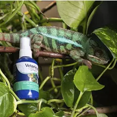 Vetericyn Plus Reptile Wound And Skin Care. Spray To Clean Cuts And Wounds On Pet. An Alternative To Iodine For Burn, Ulcers And Irritation Relief. Safe For All Ages (3 Ounces)