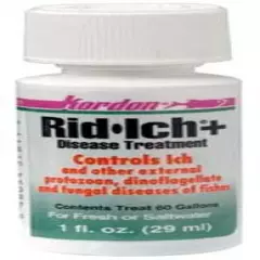 KORDON #37611 Rid Ich for Aquarium, 1-Ounce