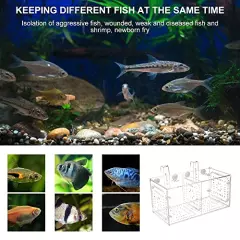 Fish Separation Breeder Box, Aquarium Fish Breeding Box Acrylic Transparent Fish Tank Breeding Isolation Box with Suction Cup for Aquarium Fish Tank