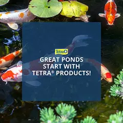 TetraPond Koi Growth 4.85 Pounds, Soft Sticks, Pond Fish Food