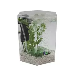 Tetra Bubbling LED Aquarium Kit 1 Gallon, Hexagon Shape, With Color-Changing Light Disc