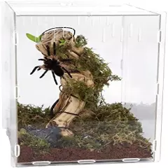 Winemana Reptile Terrarium, Tarantula Enclosure, 16" X 11" X 6" Acrylic Large Feeding Tarantula Habitat Box For Small Animals Insect Home Office