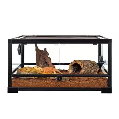 REPTIZOO Reptile Water Bowl Terrarium Water Dish Food Feeding Bowl For Reptile Amphibian Pets Medium(8"x 6.1"x 1.7")