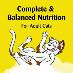 TEMPTATIONS ShakeUps Crunchy and Soft Cat Treats, CLUCKY Carnival, Multiple Sizes