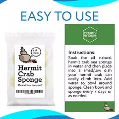 Evergreen Pet Supplies 4-Pack of Natural Hermit Crab Sea Sponges - All Natural Sponge for Crabs - Assists Safer Drinking, Provides Nutrients, Balances Tank Humidity