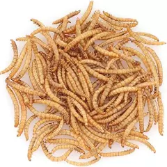 BNYEE Reptile Food Dried Mealworms Pet Worms Food For Bearded Dragon, Lizard, Turtles, Chameleon, Monitor, Frog, Sugar Glider, Chickens, Ducks, Wild Birds, Fish, Hamsters And Hedgehogs