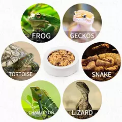 Meanplan 4 Pieces Reptile Water Food Bowl Terrarium Bowls Worm Dish Ceramic Pet Bowls Mini Reptile Food Ceramics Water Bowl Anti-Escape Mini Reptile Feeder For Lizard Anoles Bearded Dragons