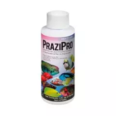 Hikari USA Inc. Prazipro - Safest Parasite Treatment 1oz