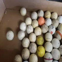  Lot Of 47 Used Golf Balls All Models!!!