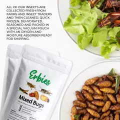 Edible Bugs Mixed Trail Mix 15G Bag Seasoned Crunchy Insects Crickets Gag Gift