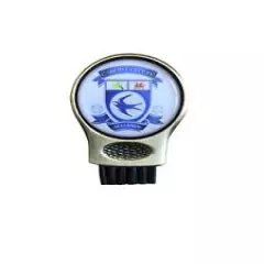 CARDIFF CITY FC GRUVE CLEANER AND GOLF BALL MARKER. GROOVE CLEANING BRUSH