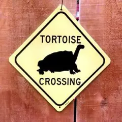 Tortoise Turtle Crossing Xing Symbol Highway Route Sign