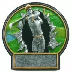 GOLF PERPETUAL 15 YEAR AWARD PLAQUE MALE OR FEMALE RESIN 3 DIMENSIONAL TOP **