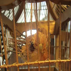 WOODEN & WIRE MINNING HANGING BIRD CAGE MINE SHAFT BIRD CAGE