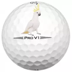 Titleist Pro V1 2020 White 48 5A Pro V1 AAAAA 2020 Used Washed Only Titleist V1