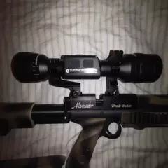 Benjamin Marauder woods Walker 22 with night vision