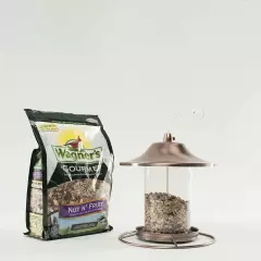 82072 Gourmet Nut & Fruit Wild Bird Food, 5 lb - 1 Pack, Premium Blend-US