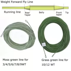 Fly Fishing Rod Fast Action 3/4/5/6/7/8/9/10/12WT Fly Rod (IM10) & WF Fly Line