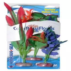 Blue Ribbon ColorBurst Floral Medium Variety Pack