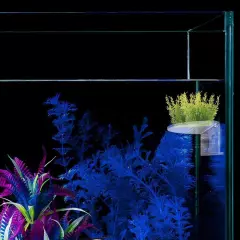 2Pack Aquarium Shelf,Transparent Acrylic Ledge Plants Holder for Substrate an...