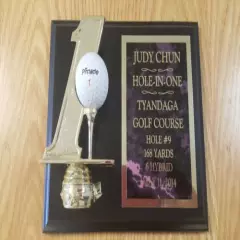 Hole in One Golf Plaque Custom Engraved SUPER FAST SHIP