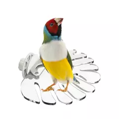 Bird Perches for Cage Toy Acrylic Parrot Perches for Parrot Lovebird Hamster