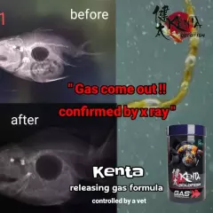 2 Packs Kenta Releasing Gas Formula For Ornamental Fish ( Sinking Pellets) 150g