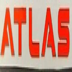 Mathews Fluorescent Orange Atlas Limb Stickers SET OF 4