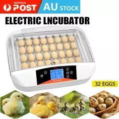 AU 32 Egg Incubator Fully Automatic Digital Turning Chicken Duck Poultry Hatcher