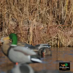 AVERY GREENHEAD GEAR GHG KILLERWEED GRASS CAMO LAYOUT BLIND KIT - SINGLE COLOR