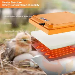 ZenxyHoC Brooder Plate for Chicks with Temperature Adjustable and Display 10