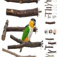  5PCS Bird Parrot Perch Stand Set - Natural Wood Bird Parrot Stand Branches 