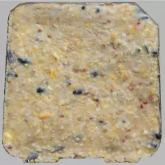 10Pack Bird'S Blend All Season Suet Cake Formulated to Attract Colorful Songbird