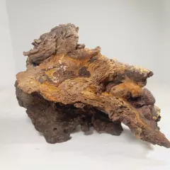 Natural Unique Wood for Reptile Terrarium Or Decoration, Wood Species Unknown