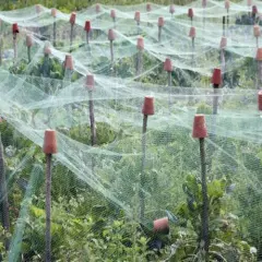  10' x 25' BABY POULTRY NETTING GAME BIRD NET AVIARY NETS 3/8" #139 LIGHTWEIGHT