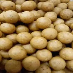 5kg tiger nut boilies 10mm sweet creamy taste and smell highly attractive shelf