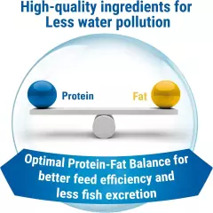  Nutritionally Balanced Tropical Flake Food for Tropical Fish, 2.2 Oz