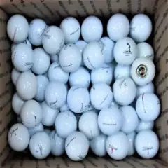 80 +/- White Titleist Pro V1 and Pro V1x Golf Balls - Shag / Practice Quality