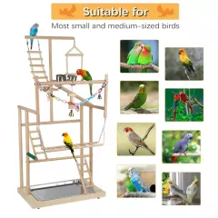 Pet Parrot Playstand Parrots Bird Playground Bird Play Stand Wood Perch Gym Play