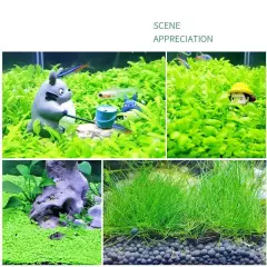 2 Pack Aquarium Grass Aquarium Water Grass Aquarium Small Leaf Grass and Long 