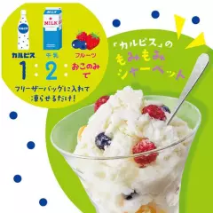 Calpis Concentrated Milk 470ml for 15 cups Calpico from Japan