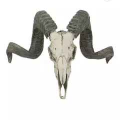 Exotic Corsica Ram faux sculpture wall trophy hunting gallery home decor