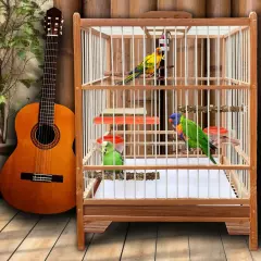 Natural Wood Bird Perch Hanging Multi-Branch for Parrot Climbing Training Per...