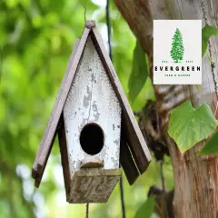 Birdseed Cylinders with Hole - Bird Seed for Outside Wild Birds (Large Cylind...