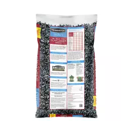 Pennington Select Black Oil Sunflower Seed Dry Wild Bird Feed, 40 lb. Bag, 1 Pac