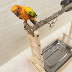 Wood Pet Parrot Bird Stand Stick Training Tree Toy Play Gym Center+Food Cup