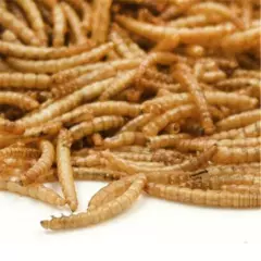 250～1000g Dried Mealworms for Koi, Pond Fish, Large Fish, Turtle, Birds, Reptile